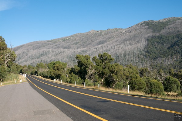 AustraliaEast 10  114